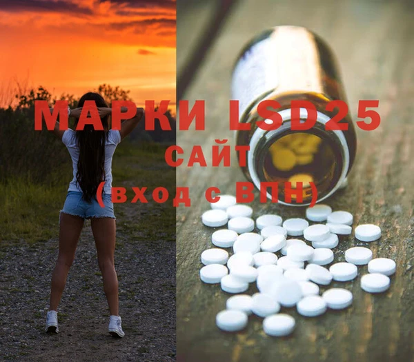 стаф Кукмор