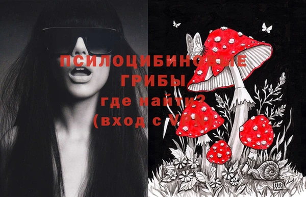 молекула духа Куйбышев