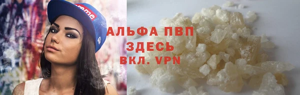 стаф Кукмор