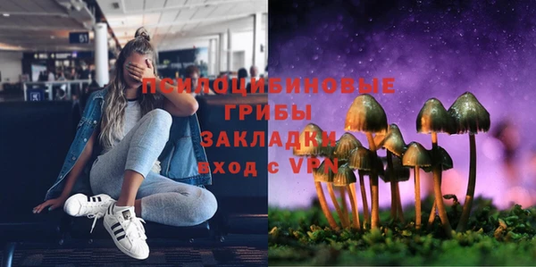 стаф Кукмор
